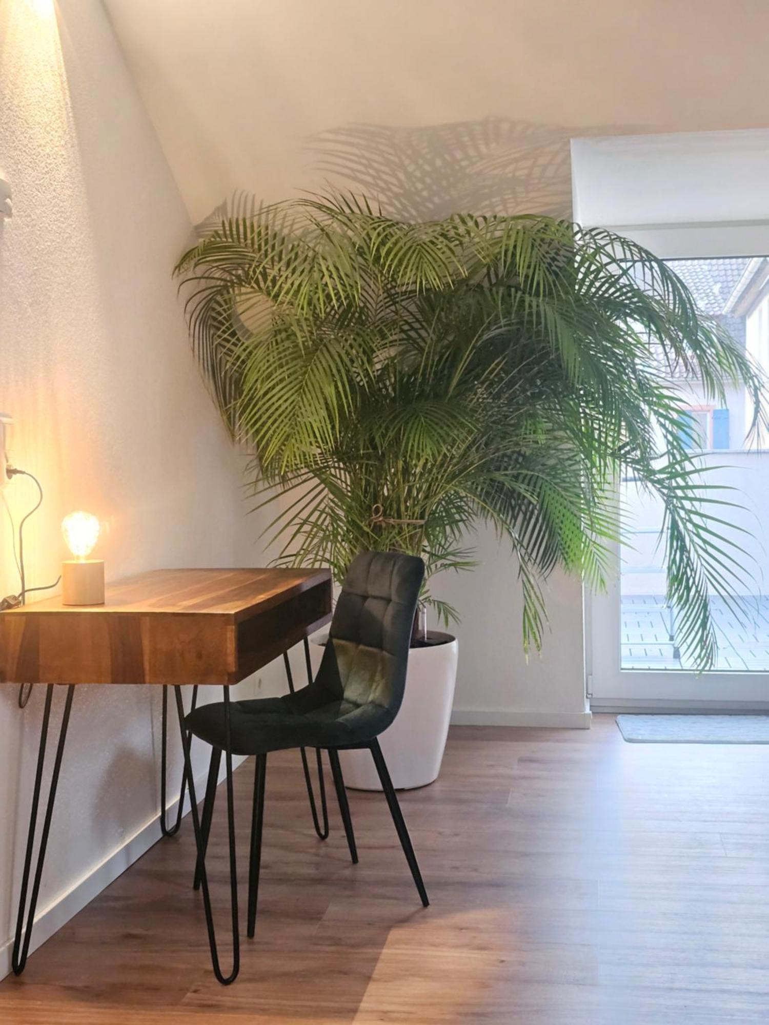 Apartament Design-Penthouse I 90Qm I Europapark 20 Min I Boxspring I Nespresso I Parking Lahr  Zewnętrze zdjęcie